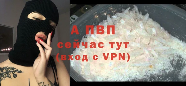 шишки Каменка