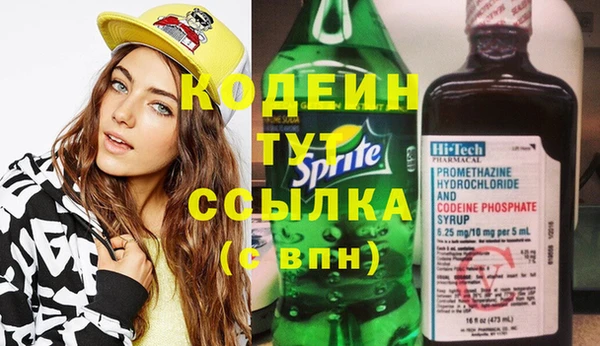 шишки Каменка