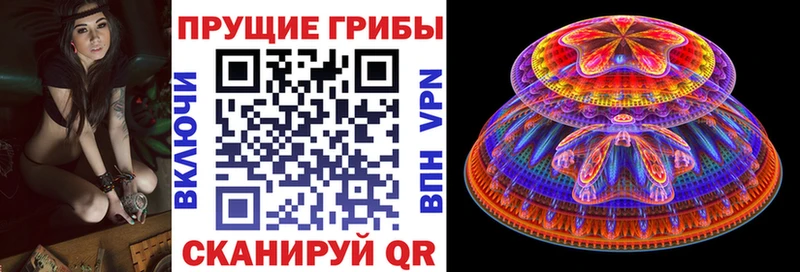 продажа наркотиков  Кораблино  mega маркетплейс  Галлюциногенные грибы GOLDEN TEACHER 